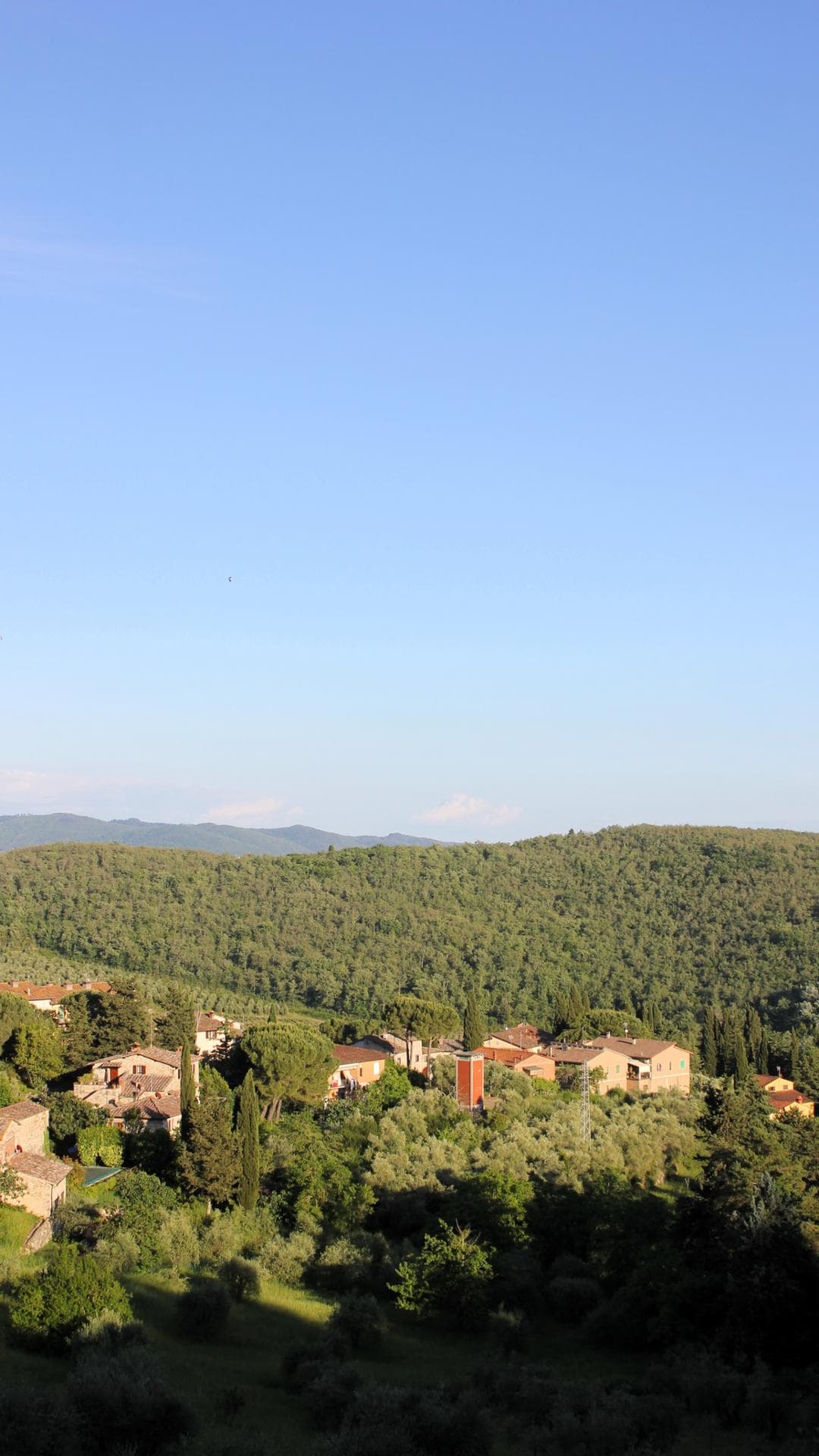 Immagine per Panorama Radda in Chianti a Chianti